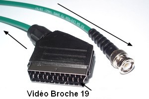 Câble Péritel BNC - 279010